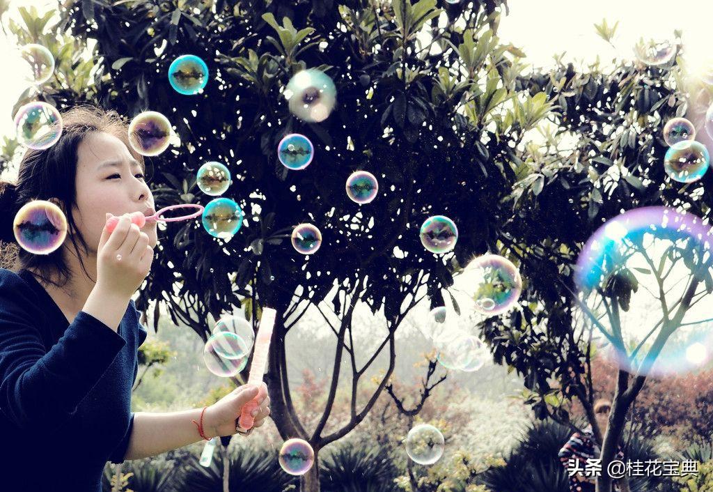 吹泡泡水怎么做(吹泡泡的水怎么做呢)插图