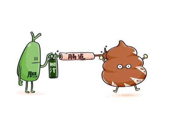 2000倍发生不少微生物(放大2000倍微生物)插图3