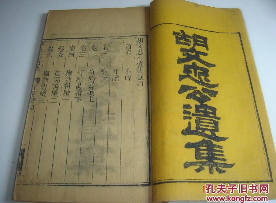 胡姓名人有哪些(近代胡姓名人有哪些)插图2