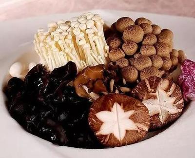 十大低脂肪食品排行榜(十大高蛋白低脂肪食物排行榜)