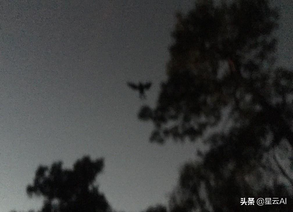 天蛾人目击事件是真的吗(外星人目击事件有多少是真的)插图23