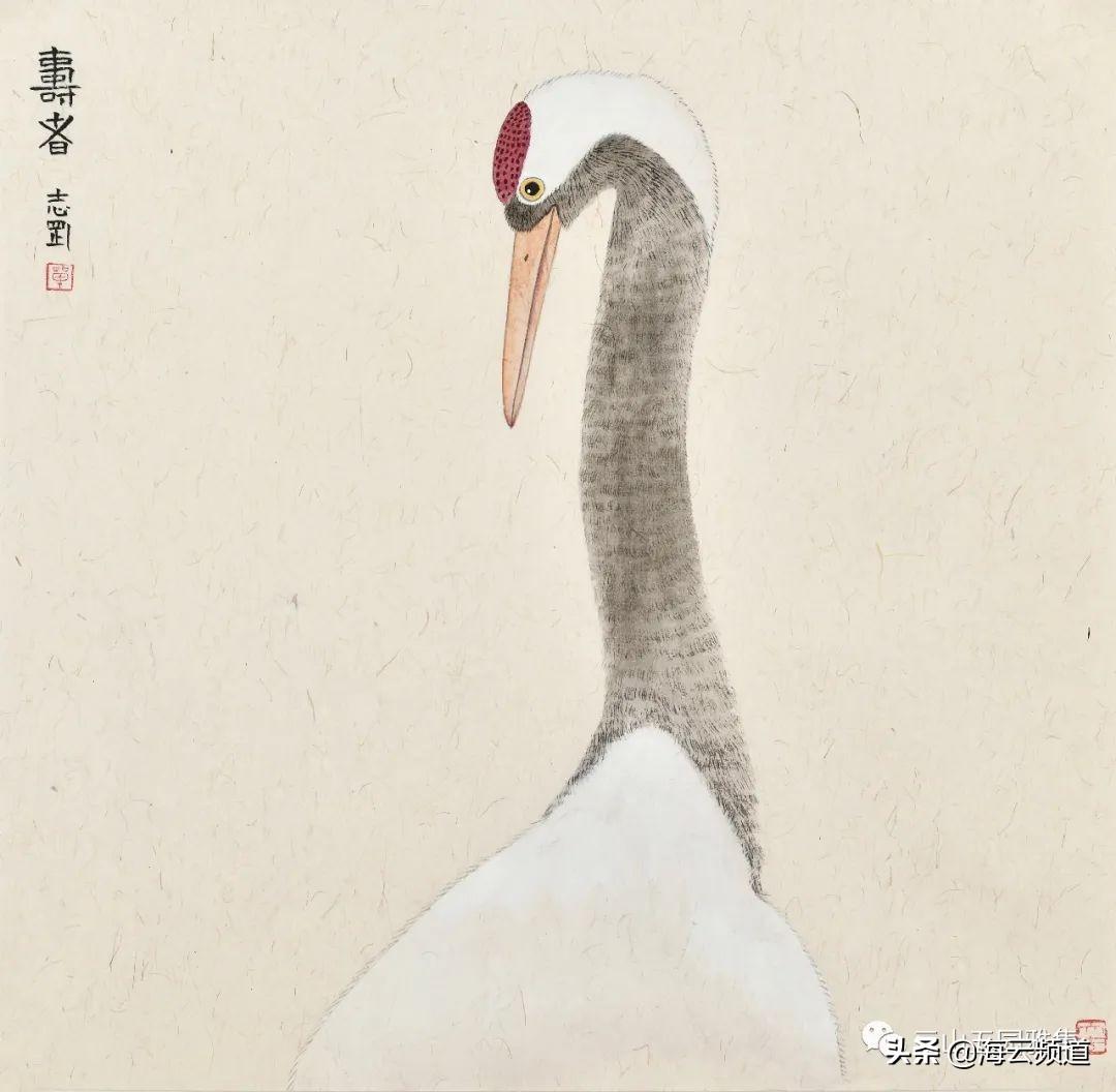 单志刚的身世简历(单志刚有什么来历)插图