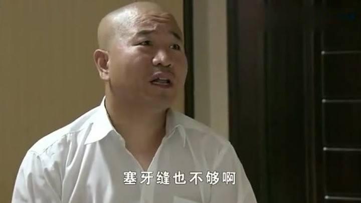 乡村爱情13刘能为什么换了(乡村爱情13刘能为什么被替换)插图12