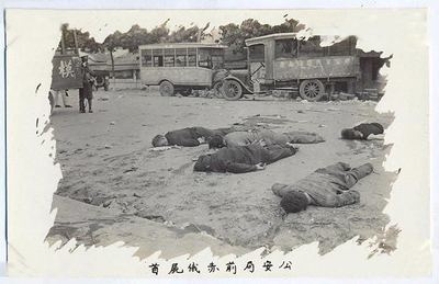 十大悍匪排行榜二王(十大悍匪东北二王第一集)
