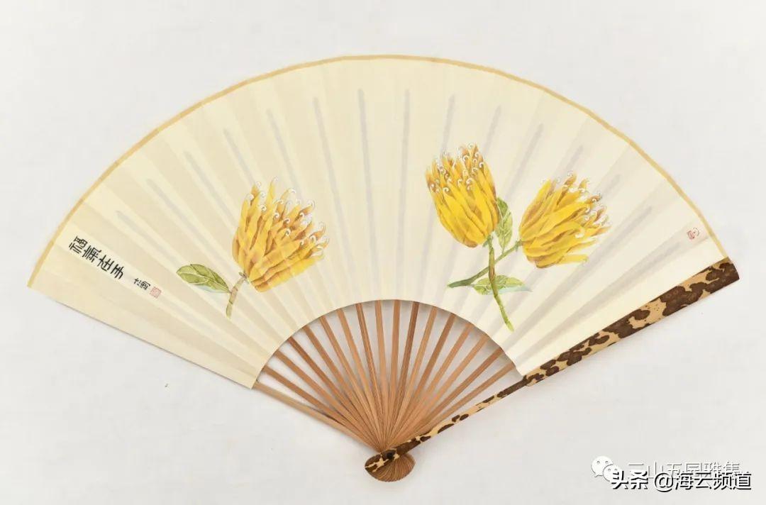 单志刚的身世简历(单志刚有什么来历)插图5