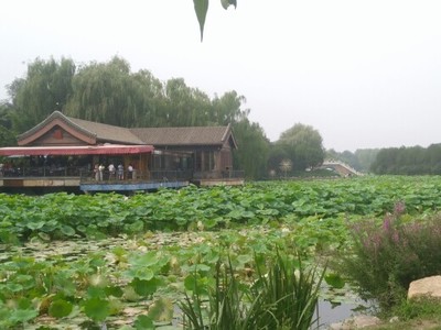 广德十大小学排行榜(广德农家乐排行榜)插图1