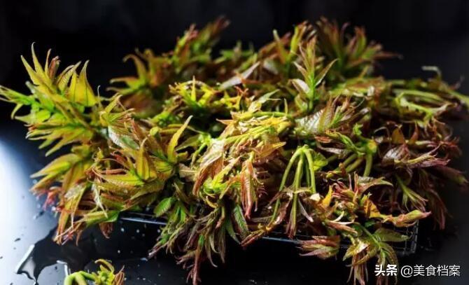 香椿芽怎么腌制好吃(香椿芽怎么腌制好吃又不坏)插图2