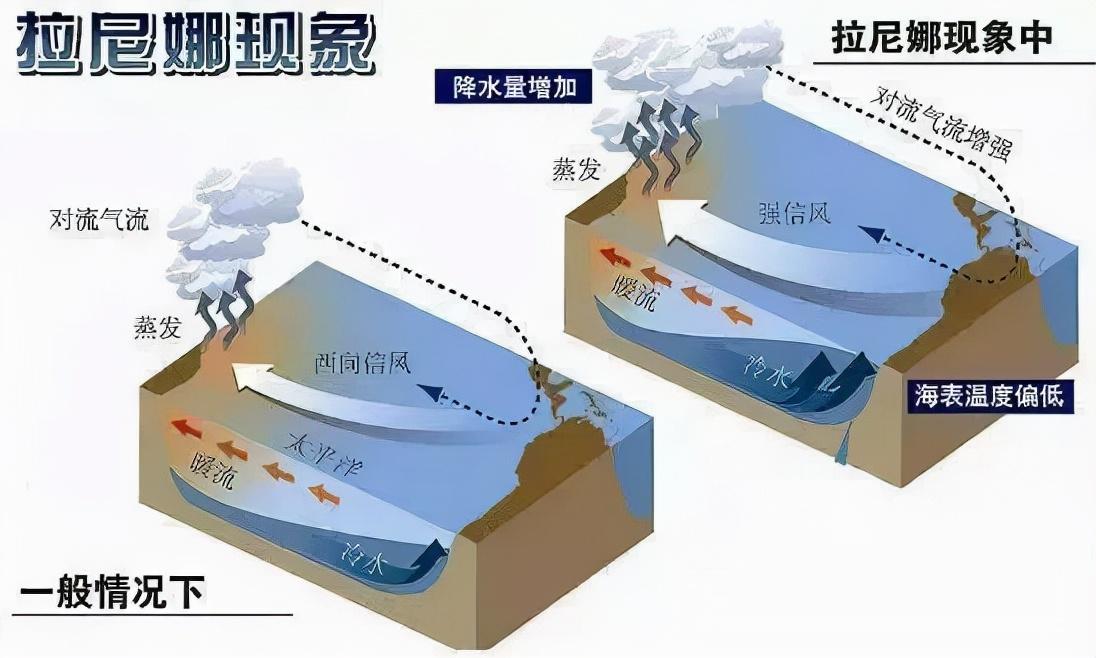 拉尼娜是什么意思(拉尼娜现象是什么意思)插图2