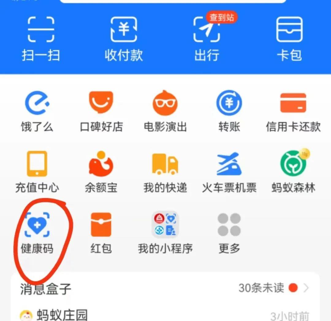 支付宝怎么查询新冠疫苗接种信息(支付宝怎么查找打的新冠疫苗信息)插图