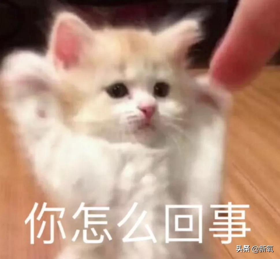 世界上腰最细的人是谁(世界腰最细的是谁)插图5
