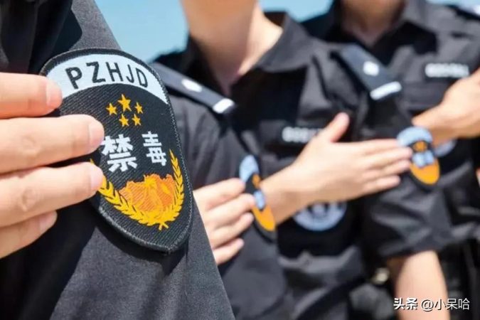 缉毒电视剧排行榜前十名2022(最好看的缉毒电视剧排行榜前十名)插图