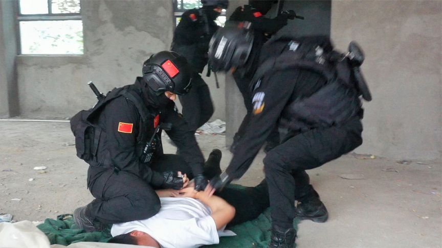 十大偷盗类小说排行榜(十大偷盗流小说)