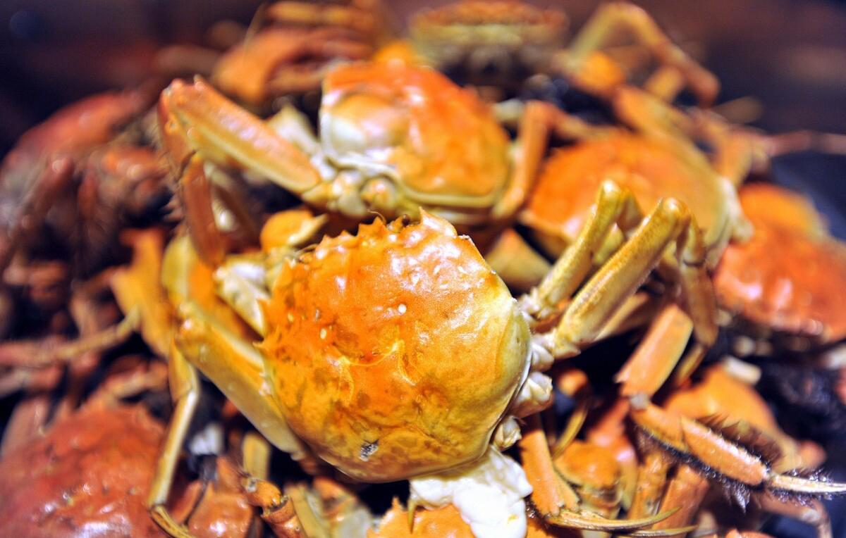 怀孕初期饮食要注意什么(怀孕初期饮食注意)