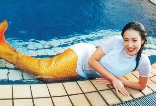 钟丽缇简历个人简介资料(钟丽缇个人图片)插图2