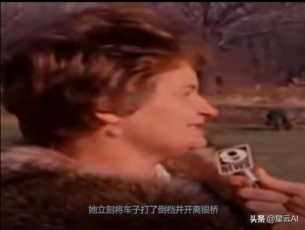 天蛾人目击事件是真的吗(外星人目击事件有多少是真的)插图9