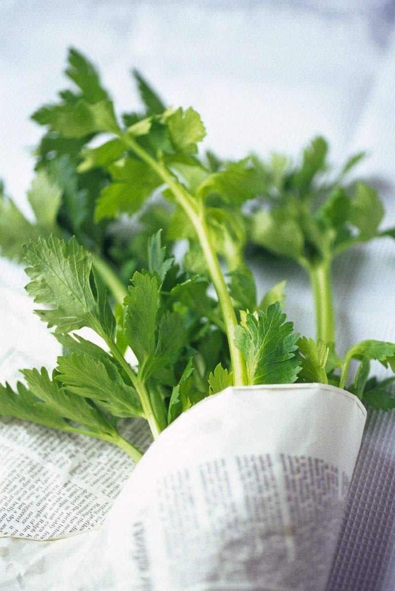 芹菜吃不完怎么保存(超市芹菜怎么保鲜)插图1