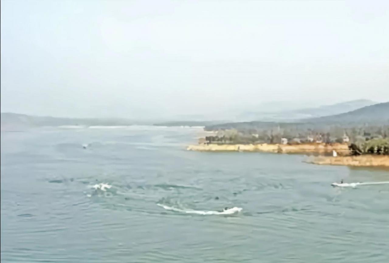 铜山湖水怪真相(铜山湖水怪之谜真相)插图4