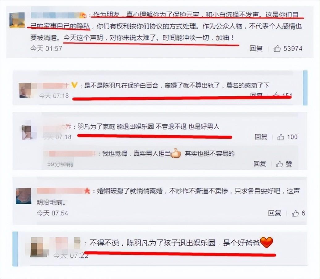 白百合一指弹指什么意思(白百合花什么意思)插图8