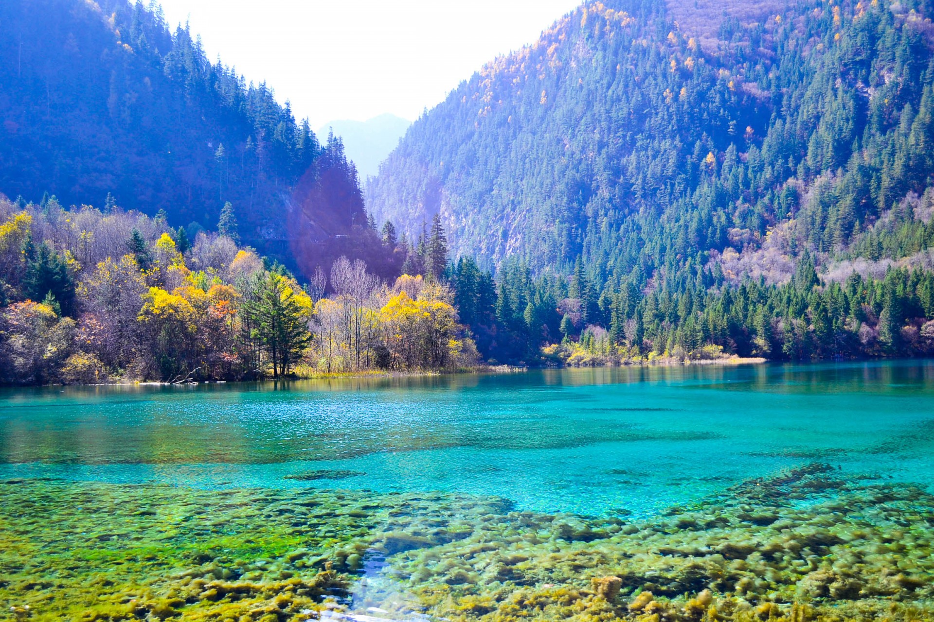 宜春十大锂业排行榜(宜春十大旅游景点)插图1