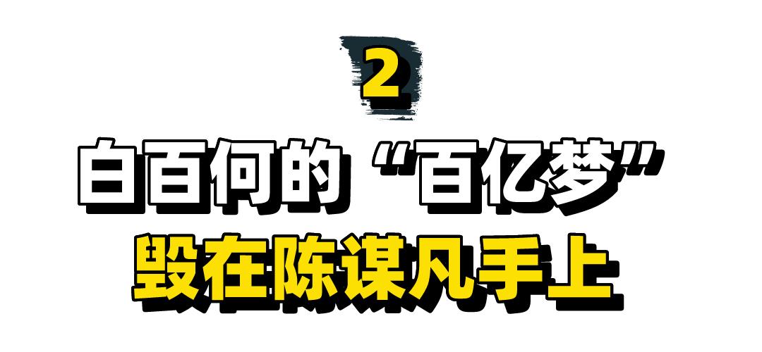 白百合一指弹指什么意思(白百合花什么意思)插图13