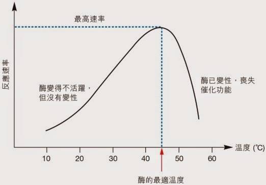 中国最大一条蛇多大(中国最大的一条蛇视频)插图2