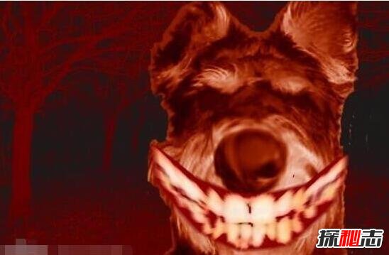 附图慎点(画面慎点)插图1