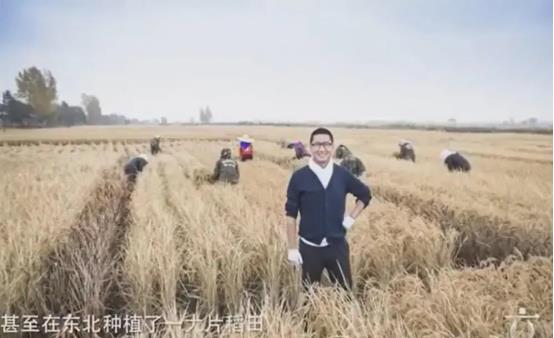 周杰林心如舌吻事件始末(周杰林心如)插图27
