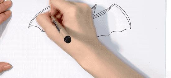 果子狸是什么动物(果子狸和水鱼鞭是什么)插图15