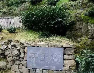 山东十大集团排行榜(山东十大名烟排行榜)