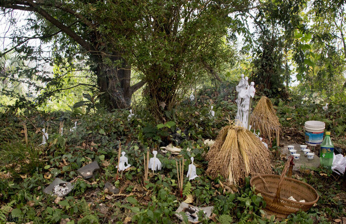 云南苗族蛊术村子(苗族蛊术电影完整版)