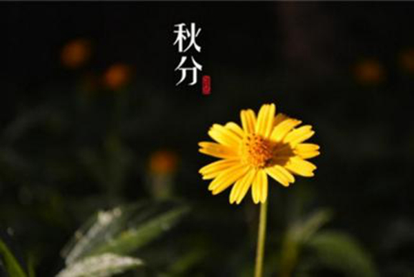秋分是什么意思秋分的气候有哪些特点(秋分是什么意思及秋分养生习俗)插图5