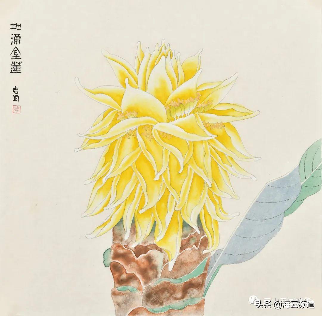 单志刚的身世简历(单志刚有什么来历)插图1