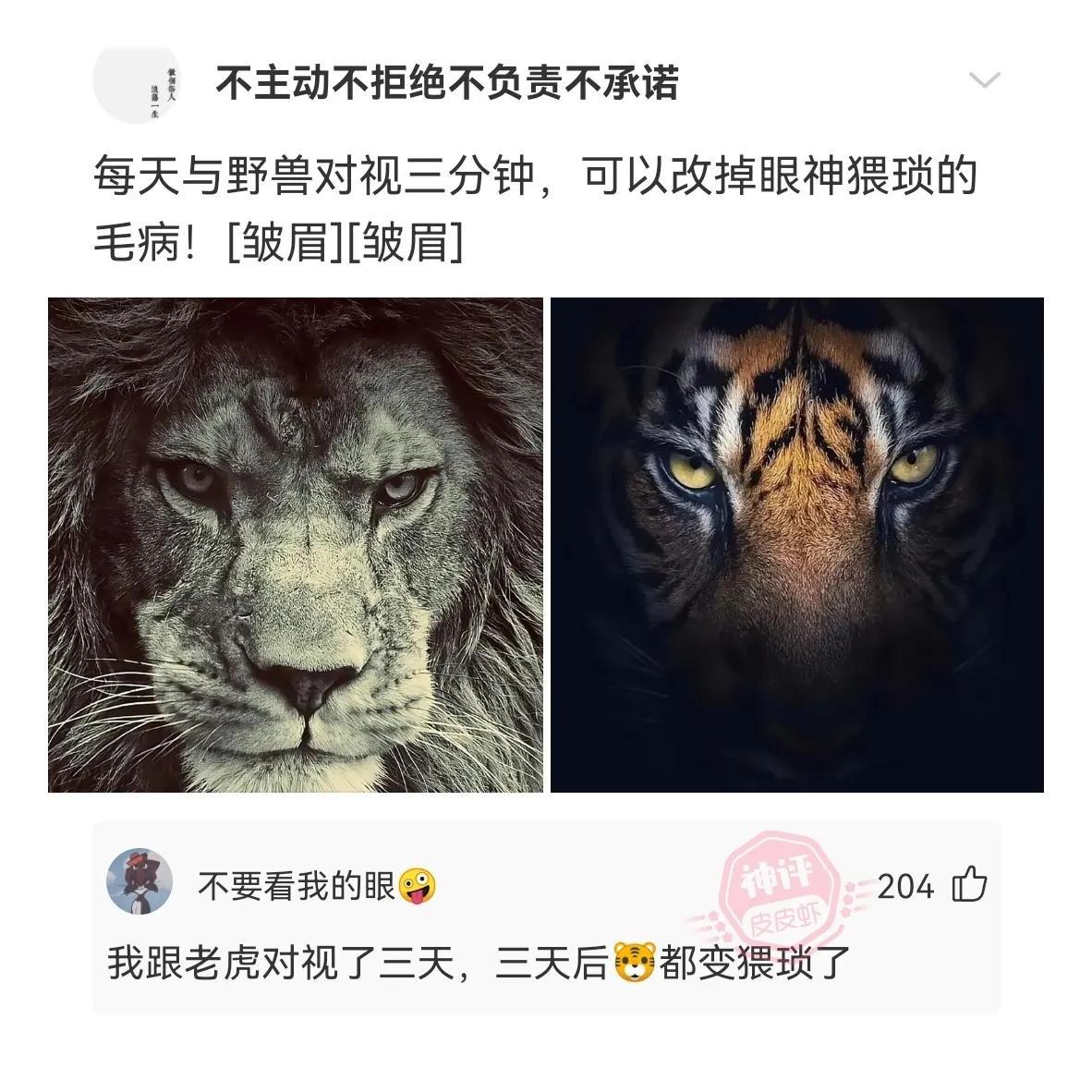 世界前50民族人口排名表(世界民族人口最多排名)插图5 世界前50民族人口排名表(世界民族人口最多排名)插图5