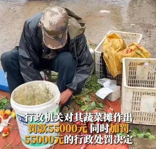 卖菜大爷被罚11万元是真的吗(卖菜大爷被罚款11.万)
