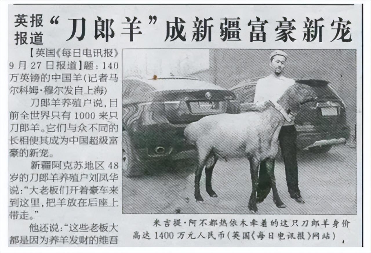 最贵的羊品种是什么(中国最贵的羊是哪个品种)插图4