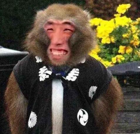 好女不嫁大马猴,好男不娶红扶桑是什么意思(不嫁大马猴是什么意思)插图3 好女不嫁大马猴,好男不娶红扶桑是什么意思(不嫁大马猴是什么意思)插图3