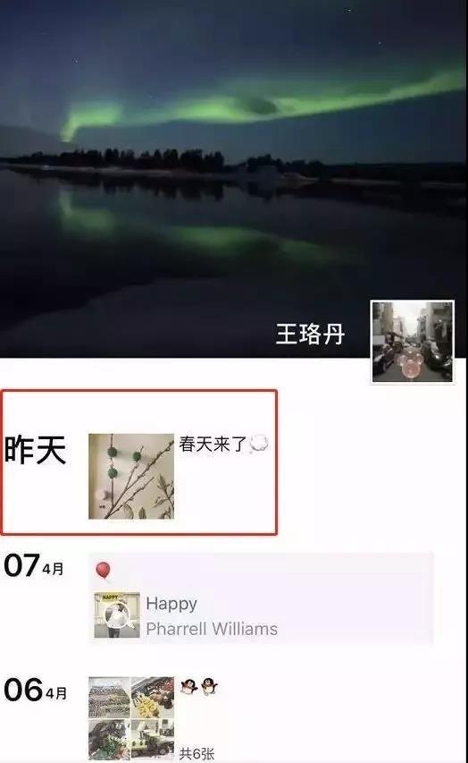 白百合一指弹指什么意思(白百合花什么意思)插图27
