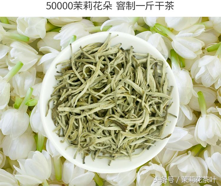 茉莉花茶是绿茶吗(茉莉花茶是什么茶)插图2