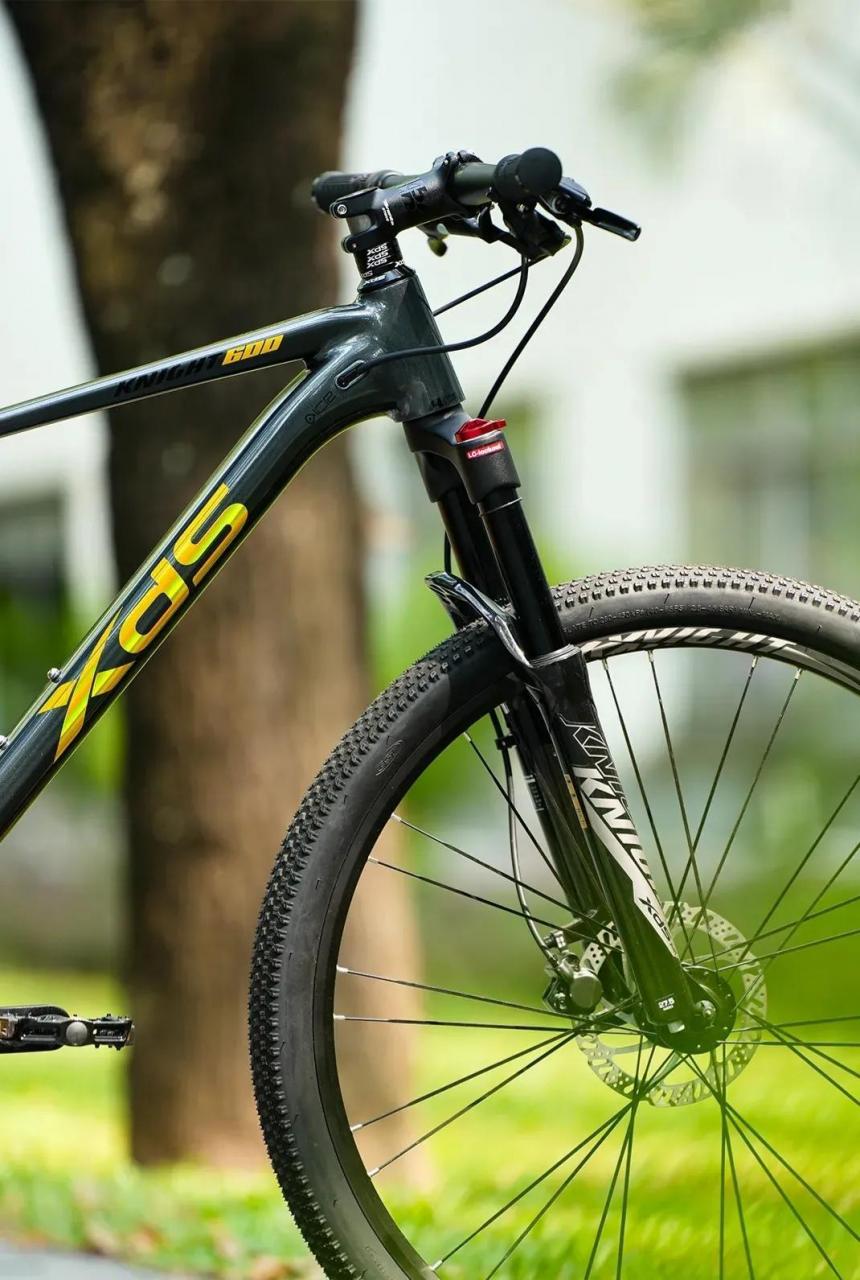 自行车品牌排行榜前十名(国产自行车品牌排行榜前十名)插图 自行车品牌排行榜前十名(国产自行车品牌排行榜前十名)插图