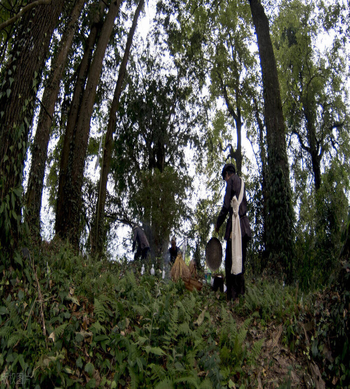 云南苗族蛊术村子(苗族蛊术电影完整版)插图1 云南苗族蛊术村子(苗族蛊术电影完整版)插图1