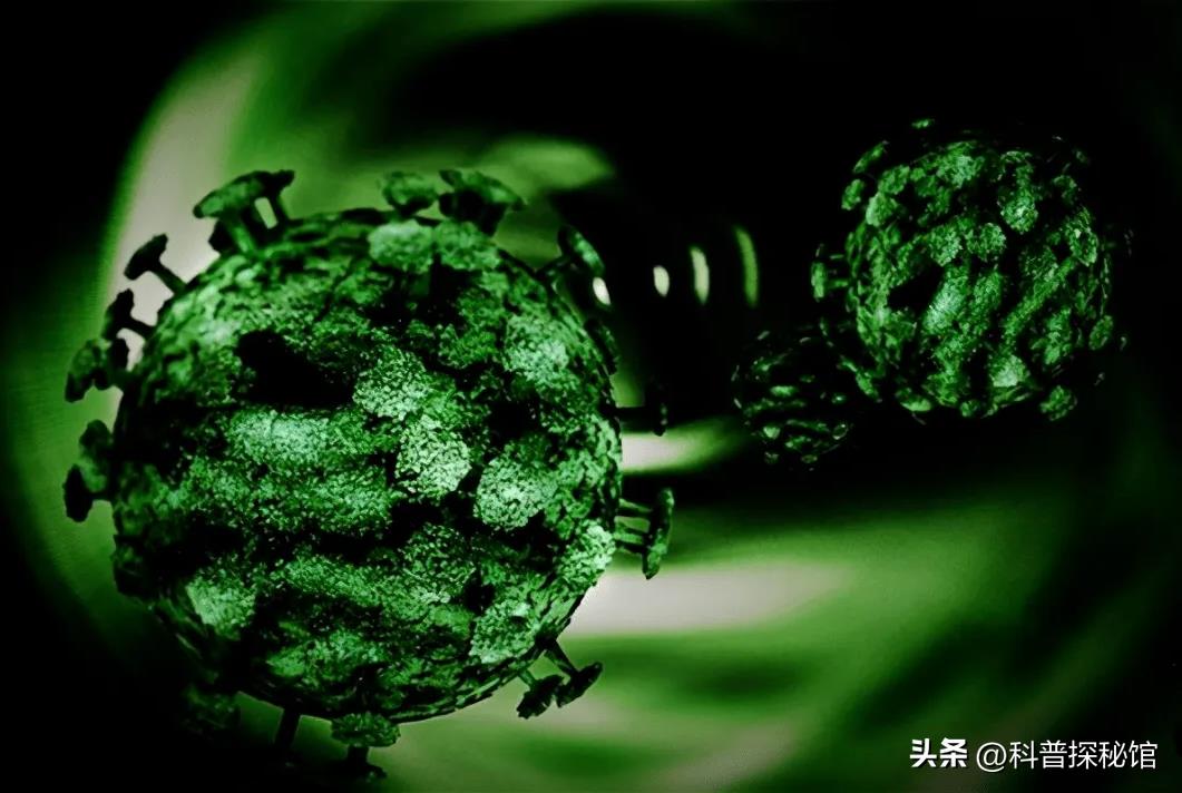 美国为什么要制造病毒害世界(美国为什么要研究病毒)插图3