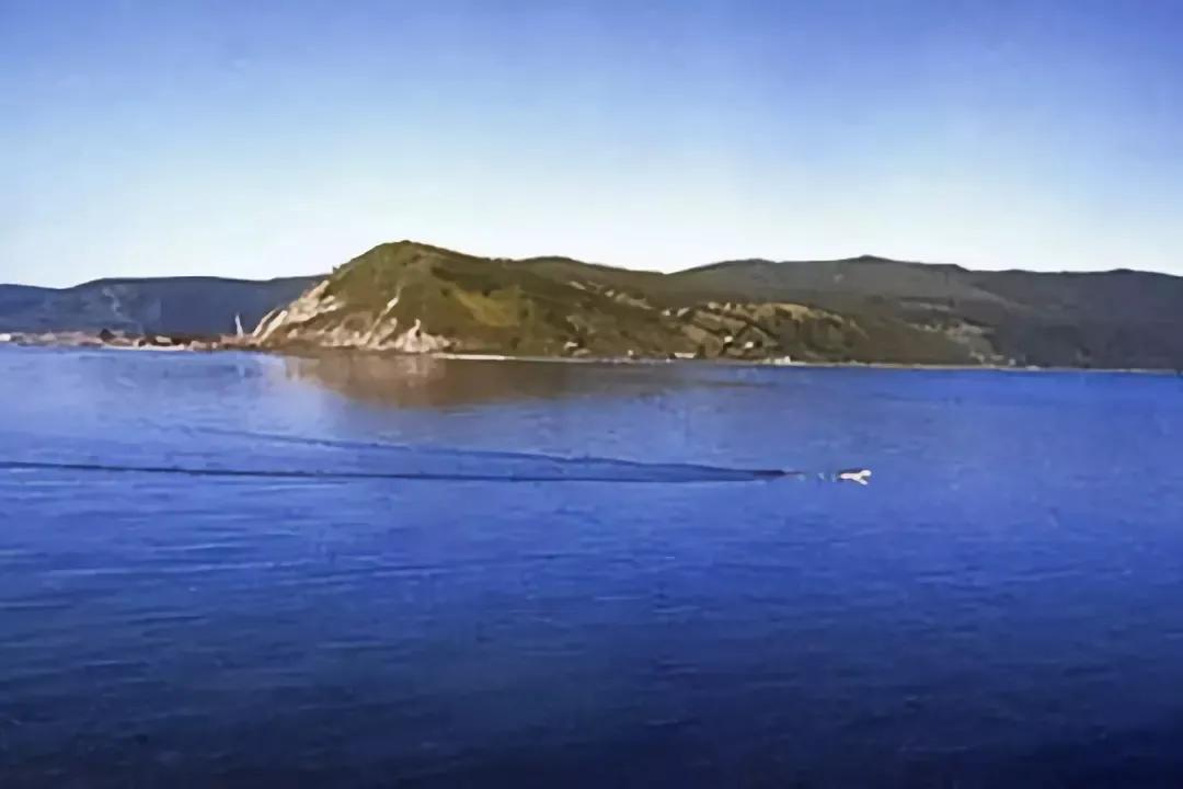 铜山湖水怪真相(铜山湖水怪之谜真相)插图12