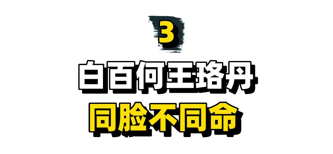 白百合一指弹指什么意思(白百合花什么意思)插图25