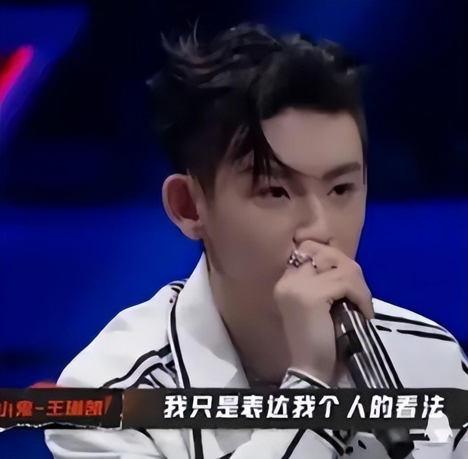 王琳凯个人资料简历图片(王琳凯个人图片)插图1