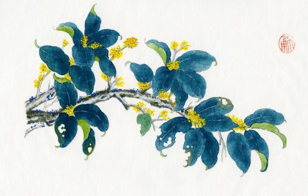 桂花时节是几月(桂花节是几月)