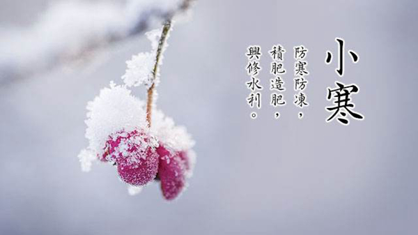小寒是什么意思小寒有什么风俗习惯(小寒什么意思呢)插图1