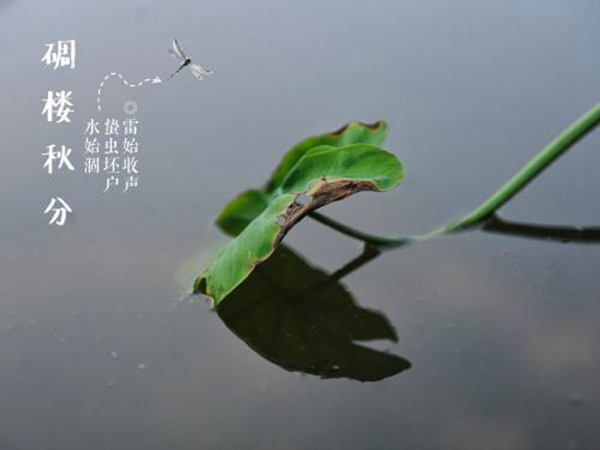 秋分是什么意思秋分的气候有哪些特点(秋分是什么意思及秋分养生习俗)插图1