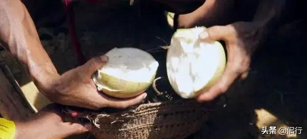 巴西食人族现状最新消息(巴西印第安人现状)插图14