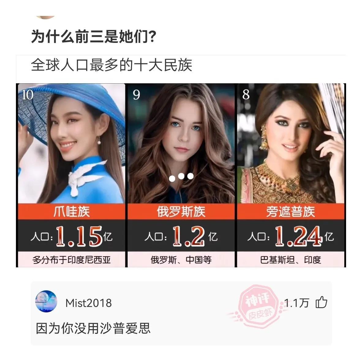 世界前50民族人口排名表(世界民族人口最多排名)插图7 世界前50民族人口排名表(世界民族人口最多排名)插图7