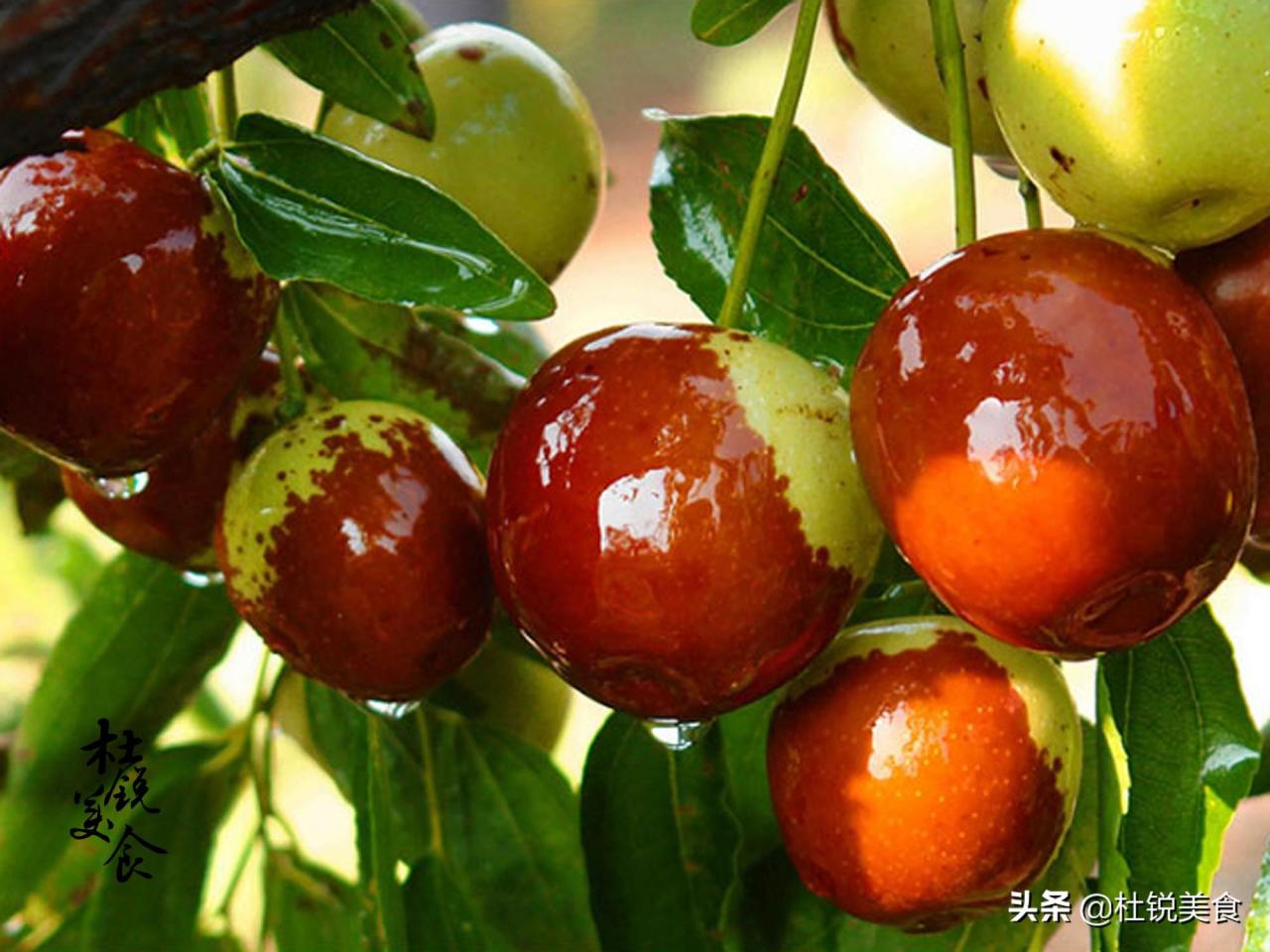 滨州必买十大特产(山东省滨州市有什么特产)插图 滨州必买十大特产(山东省滨州市有什么特产)插图